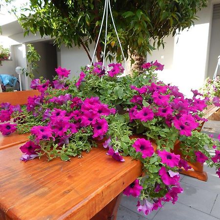 Apartments & Rooms Marinka Ζαντάρ Εξωτερικό φωτογραφία