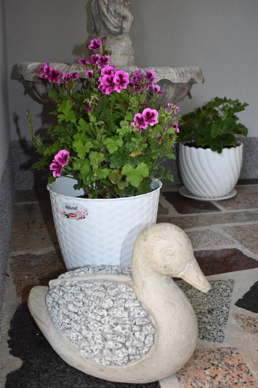 Apartments & Rooms Marinka Ζαντάρ Εξωτερικό φωτογραφία